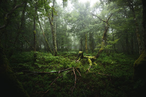 看哭了!赛车模拟选手的励志故事,比电影还精彩! 看哭了!赛车模拟选手的励志故事,比电影还精彩!