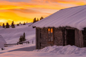 决战紫禁之巅,谁能笑到最后电竞总决赛,激情澎湃! 决战紫禁之巅,谁能笑到最后电竞总决赛,激情澎湃!
