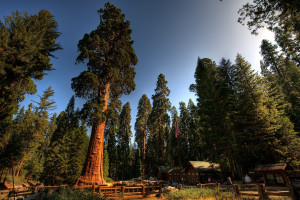 不止于屏幕,电竞线下活动如何凝聚玩家情感 不止于屏幕,电竞线下活动如何凝聚玩家情感